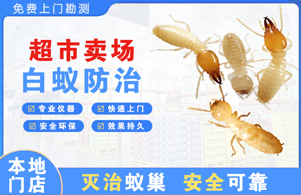 嵊州超市卖场白蚁防治