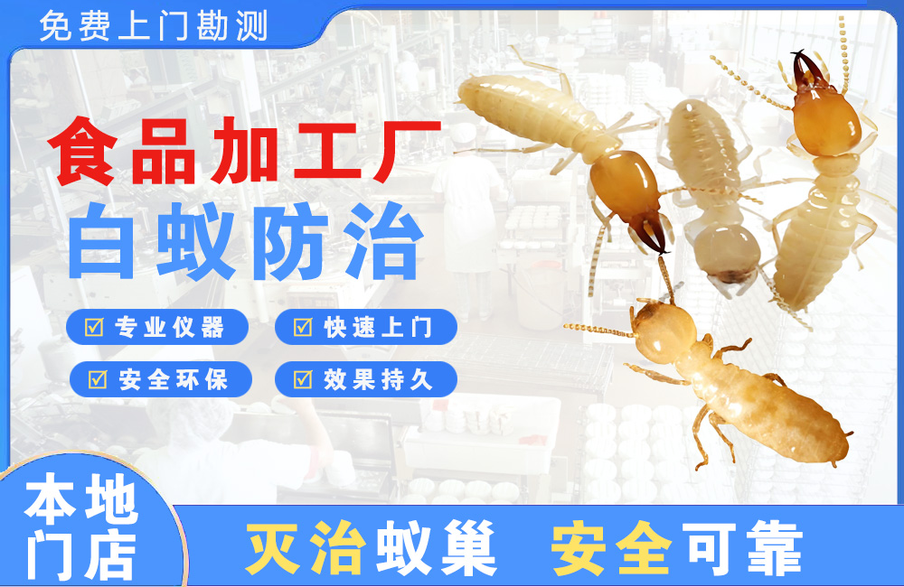 嵊州食品加工厂白蚁防治