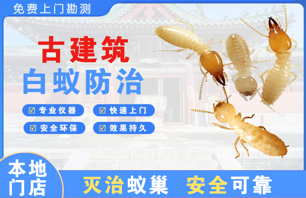 嵊州古建筑白蚁防治