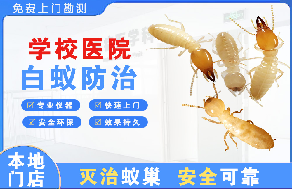 嵊州学校医院白蚁防治