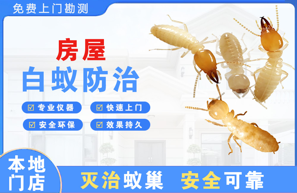 嵊州房屋白蚁防治