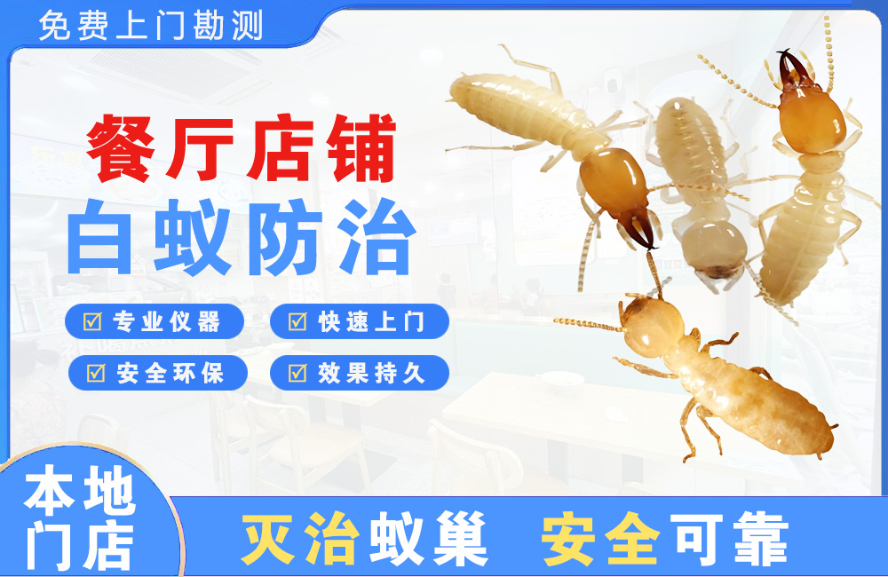 嵊州餐厅店铺白蚁防治